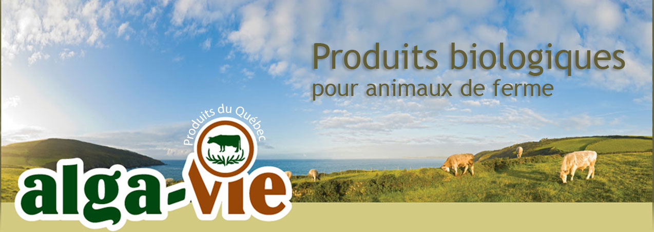 Bienvenue Alga-vie