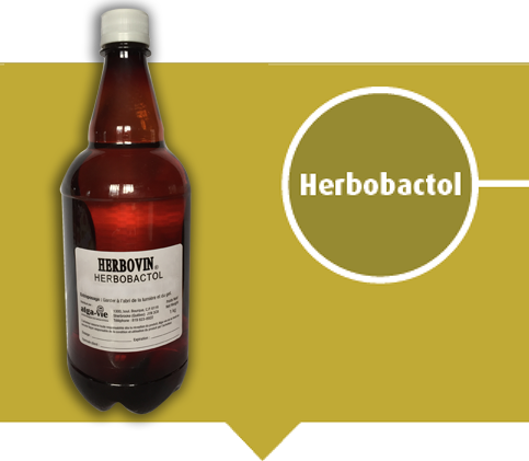 Herbobactol - Anti-infectieux