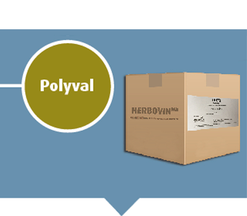 Polyval - Cellules somatiques